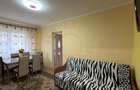 Apartament 2 camere Zona Penny Parter, Ignișului 26 - Carei - 7