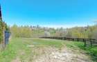 Teren intravilan cu priveliste frumoasa-Predelut - 10