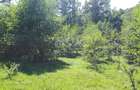 Teren cu livada de vanzare in Albesti de Muscel - 10