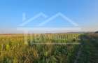 Teren intravilan, 1476 mp, Zona Ungheni - 1