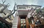 Vila 8 Camere Dorobanti - Potential Business, Airbnb sau Rezidential - 18