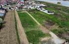 Parcele de Teren Premium în Ostroveni Sat – Zona Rezidențială Nouă - 3