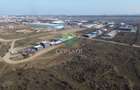 Teren de vanzare cu autorizatie pentru 2 hale - Otopeni - 10.000 mp - 8