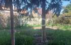 Garsoniera la casa 70 mp gradina proprie 371 mp Terezian Sibiu - 2