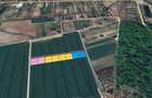 Loturi de teren la padure | 1000mp | Padurea Snagov - Izvorani- - 1