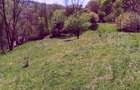 Teren de vis la munte – 7.795 mp – construibil – pârâu, pădure, fără vecini - 5