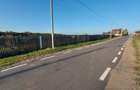 Peisaj de vis pe malul lacului Pasarea Branesti 10 min Bucuresti vand sau schimb - 6
