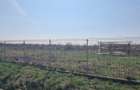 Vand 30500mp teren intravila DN65 B langa Royal Motors, limita Pitesti - 1