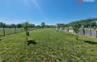 Casa individuala cocheta, cu 4 camere - Remetea Mare - 11