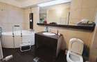 Apartament 4 camere Parc Herastrau - 13
