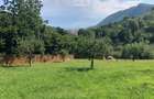 De vanzare teren unic in Brasov (vedere panoramica asupra orasului) - 20