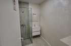 Apartament/Birou 1cam Str. Basarabiei/ Central Park 2 - 4