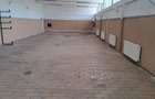 Hala parter 360 mp productie / depozitare in P-ta 1 Mai - 3