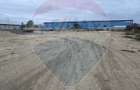 Teren de inchiriat – 13.500 mp, Clinceni Centura Bragadiru–Domnesti - 14