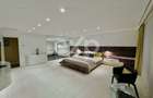 Descopera Luxul: Penthouse 414 mp Cartierul Francez Herastrau Nordului - 4