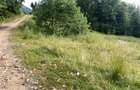 Teren Rasnov inntravilan PUZ) zona Parau Rece - 5