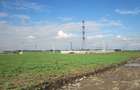 Domnesti-Narciselor - 9