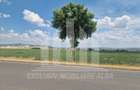 Teren agricol | La sosea | 9100 mp | 40 ml deschidere - 4