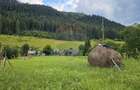 Casa 225 mp, teren intravilan 4822 mp C. Moldovenesc, Suceava - 10