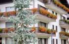 APARTAMENT DE VACANTA  - POIANA BRASOV - 29