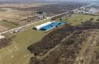 Teren extravilan de 7.000 mp lângă Păltiniș - 11