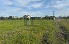 Teren intravilan 953 mp – comuna Tunari, sat Dimieni | judetul Ilfov - 3