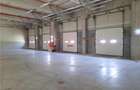 Spatiu Industrial - 5000 mp - Logistica - Productie - Depozitare - Distributie - 5