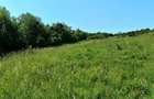 Teren extravilan 8.008 mp, HUNEDOARA, HASDAT - 5