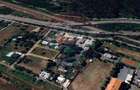 Teren superb Buftea, 1500 mp, negociabil, in apropiere de DN7, padure - 2