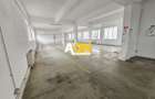Spatiu industrial pentru productie sau depozitare, 1600 mp, Sebes - 11