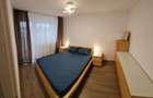 Apartament 2 Camere,Piata Iancului,bl.reabilitat,Amenajat,geam la baie,mobilat, - 3