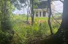 REV2002774 Vila in complex rezidential - pozitionare excelenta langa padure - 4