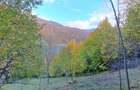 Vand teren cu vedere la lac, Valea Doftanei,Strada Lacului - 2