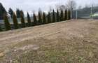 Teren intravilan 1.900 mp * deschidere 25 ml * Valea Avrigului / jud. Sibiu - 4