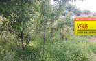 Loc de casa in Ipotesti - 1