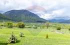 Comision 0% ! / Teren ideal casa vacanță - 14