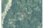 Teren pitoresc, linistit, in zona impadurita de deal - 3