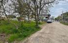 TEREN INTRAVILAN-1000 mp-Sf AGNES - 1