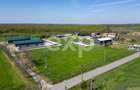 Black Angus Farm with authorized Slaughterhouse - 8