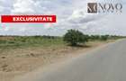 Teren de vanzare | Catelu | 20.060 mp - 1