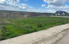 Teren intravilan 3271 mp Valea Lupului, Iași deschidere la asfalt 1 Decembrie - 4