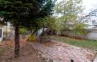 Domenii - Spatiu birouri in vila, cu garaj, 4 locuri de parcare, curte - 16