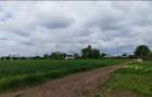 Teren intravilan 10.000 mp | PUZ aprobat 17 loturi | Gagu – Dascălu | 8km DNCB - 5