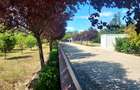 CLUB SNAGOV-VILA SUPERBA, TOTAL PRIVACY,FINISAJE LUX,CURTE 2000  MP,565000 EURO - 8