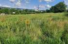 🚀  Teren intravilan | 515 MP |  Valea Adanca 5 Drumuri - 80 Euro MP - 2