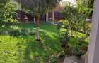 Casă de vânzare Domnești Teghes – proprietate individuală, zonă verde - 4
