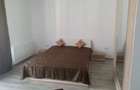 Apartament cu o camera decomandat, balcon, zona Florilor - 3