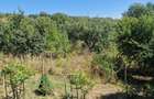 Casa in mediu rural cu teren - 23