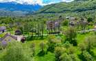 Teren intravilan 763 mp in zona Bran-Tohanita,judetul Brasov - 1