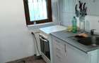 Colentina Rau, Mc Donalds, Mr. Bacila, Parc Plumbuita, stradal - 11